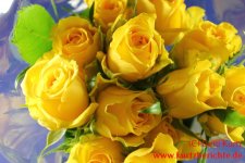 Blumen Glycerin gelbe Rosen