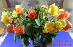 Blumen Glycerin Rosen in der Vase
