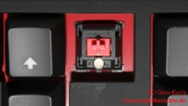 Fnatic Gear Rush Silent LED Pro Gaming Tastatur mit Original CHERRY MX SILENT RED Keys