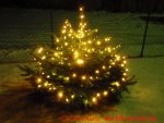Nipacher 200er LED Lichterkette - leuchtender Weihnachtsbaum