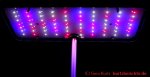  iDOO Hydroponisches Anzuchtsystem - LEDs in verschiedenen Farben