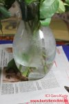 Blumen in Vase mit Glycerin Wasser Mischung