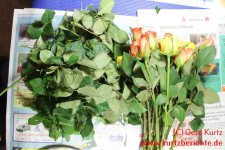 Blumen Glycerin Rosen Blätter entfernen