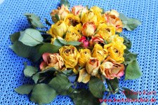 Blumen Glycerin Fertiges Rosenbukett aus mit Glycerin getrockneten Rosen