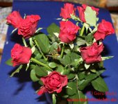 Blumen Glycerin roter Rosenstrauß