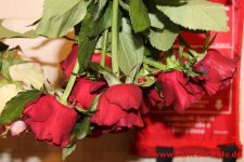Blumen Glycerin rote Rose nach unten hängend
