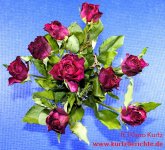 Blumen Glycerin 52 Strauß konservierter dunkelroter Rosen