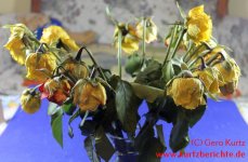 Blumen Glycerin vertrocknete Rosen