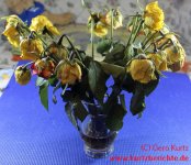 Blumen Glycerin nach vier Wochen in der Vase