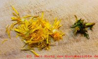 Butterblumen Gelee Abgezupfte Blütenblätter