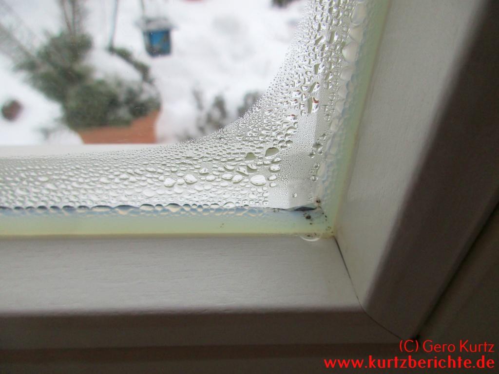 Fenster isolieren mit tesamoll Thermo Cover und so Heizkosten
